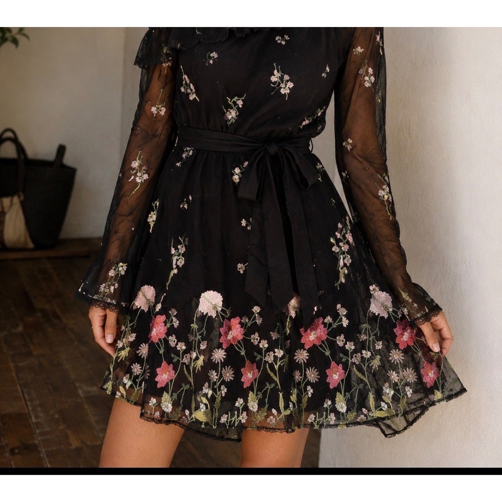 Iris Basic Floral Embroidered Mesh Mini Dress Womens Medium Black NEW Ruffle Tie